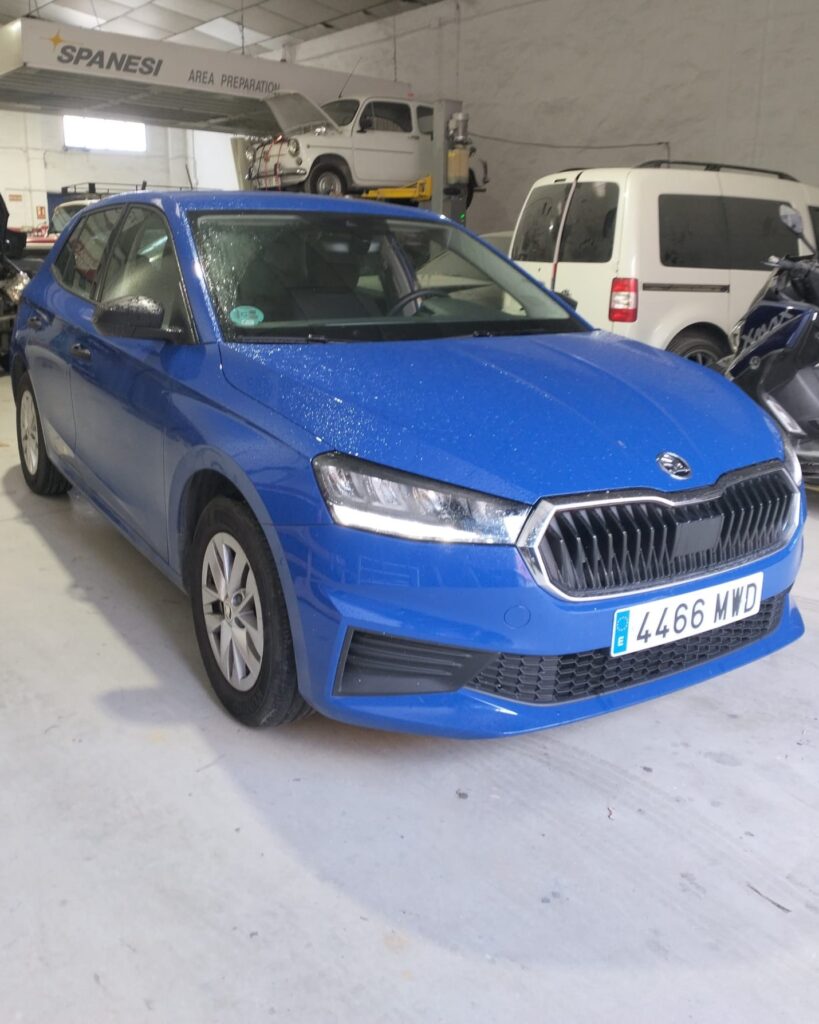 Coche Sustitucion (3)